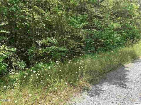 Lot 34 Hedge Maple Way, Del Rio, TN 37727