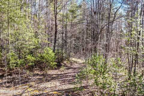 Hedge Maple Way lot: 34, Del Rio, TN 37727