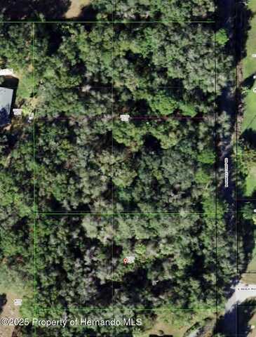 2732 N Junglecamp Road, Inverness, FL 34453