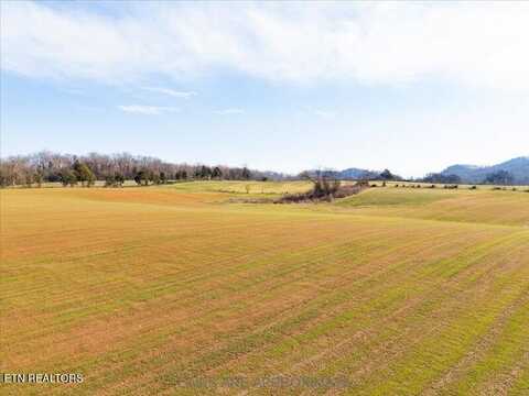 21075 Meadow, Greenback, TN 37742