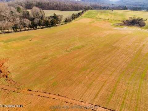 21075 Meadow Rd, Greenback, TN 37742