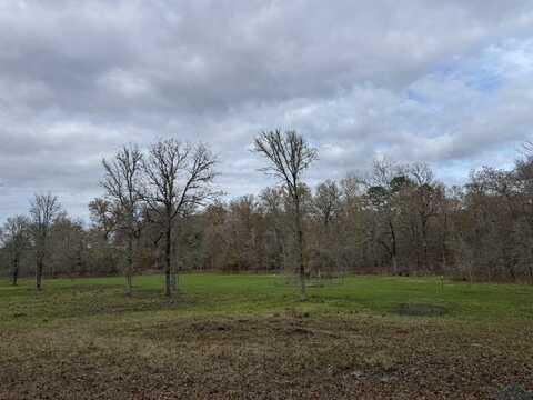 Tbd Private Rd 1331, Elysian Fields, TX 75642