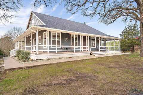 1030 County Road 2215, Daingerfield, TX 75638