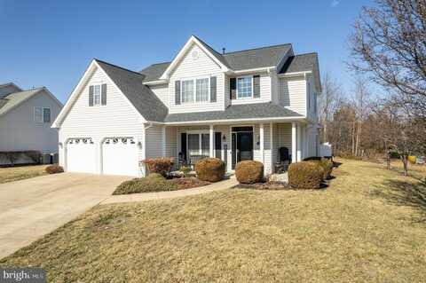 100 NEW MARKET DR, STEPHENS CITY, VA 22655