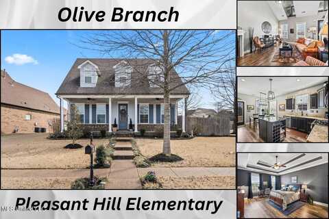 4718 W Dublin, Olive Branch, MS 38654