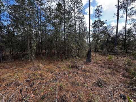 SE 133RD AVENUE, DUNNELLON, FL 34431