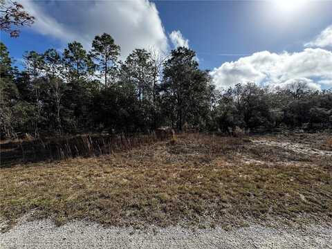 SE 135TH COURT, DUNNELLON, FL 34431