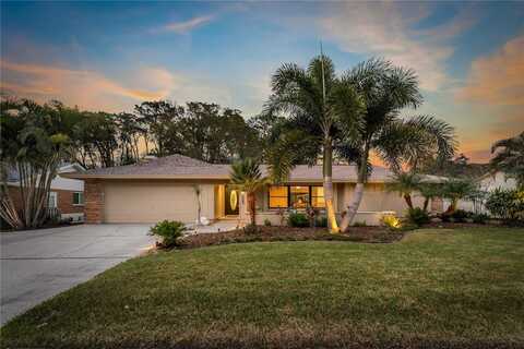 1301 ENISWOOD PARKWAY, PALM HARBOR, FL 34683