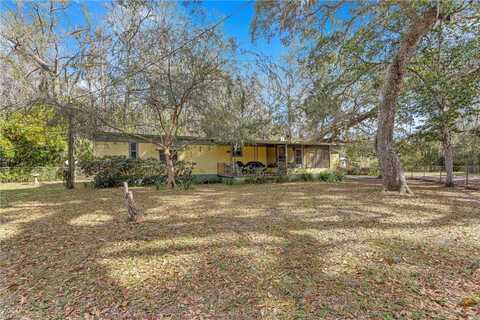 3175 NE 162ND STREET, CITRA, FL 32113