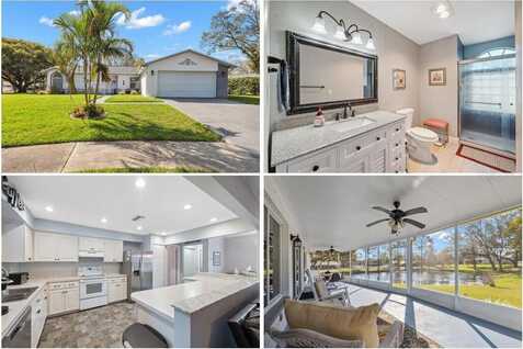 2862 LOMOND DRIVE, PALM HARBOR, FL 34684