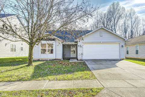 11415 High Timber Drive, Indianapolis, IN 46235