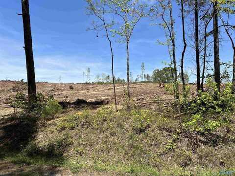 35 Acres Hwy 35, Gaylesville, AL 35973