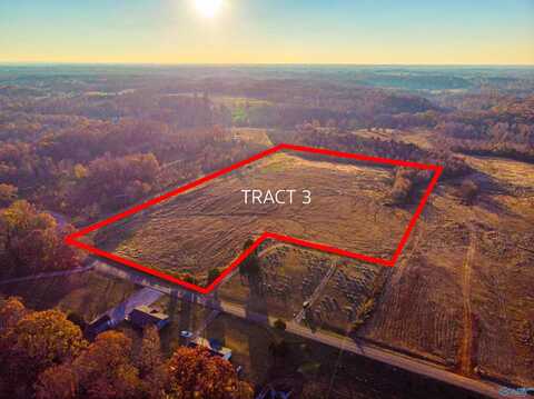 Tract 3 County Road 35, Lexington, AL 35648