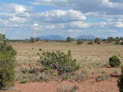 1292 Indian Meadows Lot D - 12 Ac Road, Williams, AZ 86046