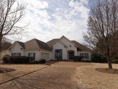 307 Centerpointe Dr, Oxford, MS 38655