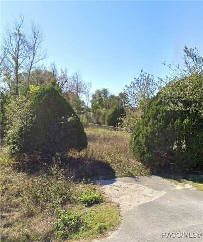 10430 SE 149th Street, Summerfield, FL 34491