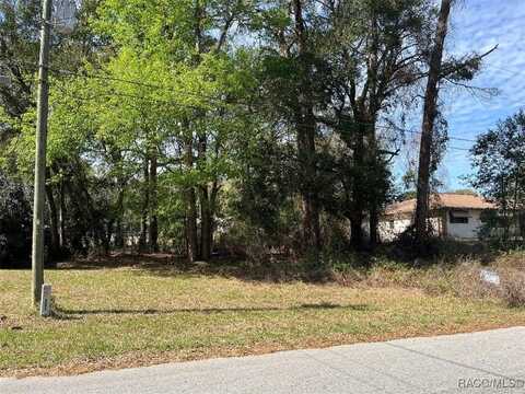 3900 S Ivanhoe Terrace, Inverness, FL 34452