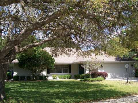 6095 W Douneray Loop, Crystal River, FL 34429