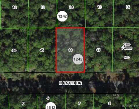 9243 N Patch Drive, Citrus Springs, FL 34434