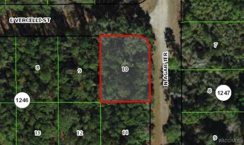 1124 E Vercelli Avenue, Citrus Springs, FL 34434