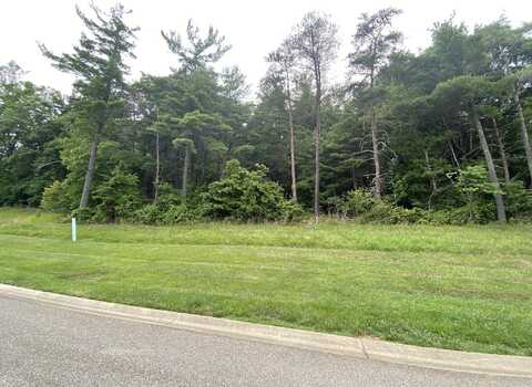 LOT 27 SUMMIT DR, Rocky Mount, VA 24151