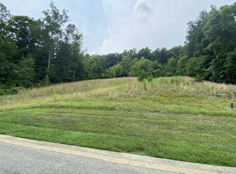 LOT 25 SUMMIT DR, Rocky Mount, VA 24151