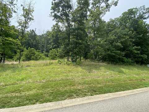 LOT 18 SUMMIT DR, Rocky Mount, VA 24151