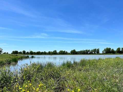 217 ACRES Jozwiak Road, Chappell Hill, TX 77426