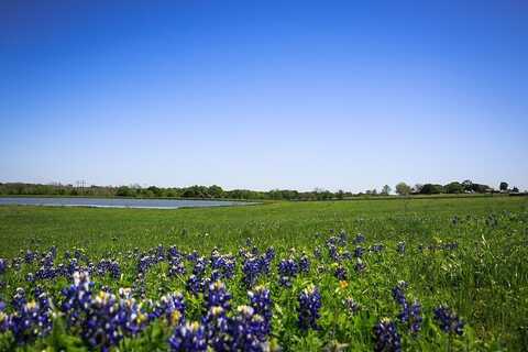 74 ACRES Caney Creek Road, Chappell Hill, TX 77426