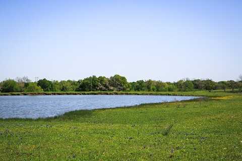 84 ACRES Caney Creek Road, Chappell Hill, TX 77426