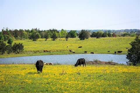 103 ACRES Chadwick-Hogan Road, Chappell Hill, TX 77426