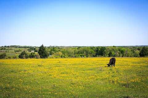 177 ACRES Chadwick-Hogan Road, Chappell Hill, TX 77426