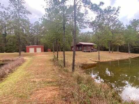 129 Buck Branch School Rd, Poplarville, MS 39470