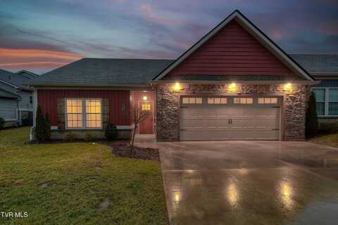 383 Harps Lane, Gray, TN 37615