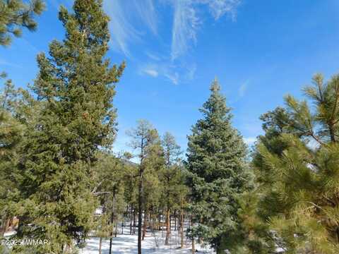 Lot 29 Eric Lane, Alpine, AZ 85920