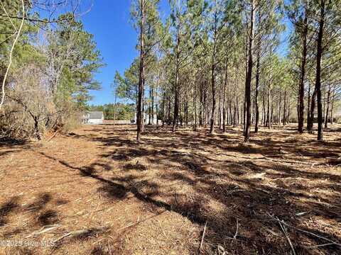 Lot 2 King Road, Jacksonville, NC 28540