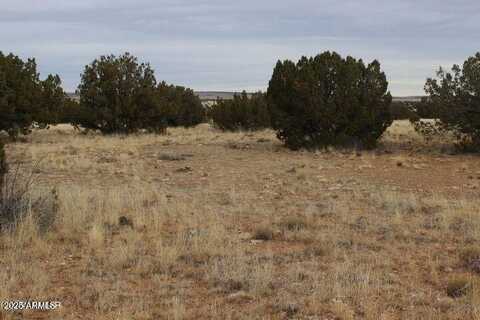 Lot 362 Chevelon Canyon Ranch --, Heber, AZ 85928