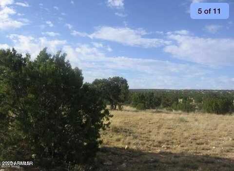 Lot 595 Chevelon Canyon Ranch --, Heber, AZ 85928