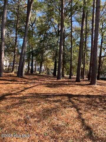 9299 Cargill Drive, Calabash, NC 28467