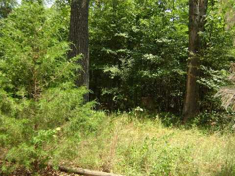 206 & 208 Wedge Road, Horseshoe Bend, AR 72512
