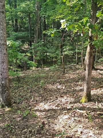 Block 21 Lot 01 JUNIPER TRAIL, WAVERLY HALL, GA 31831