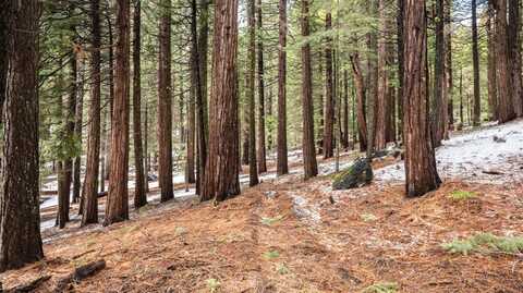 3094 Shoshone Drive, Camp Connell, CA 95223