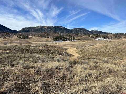 213 Spring Creek Circle, Chromo, CO 81128