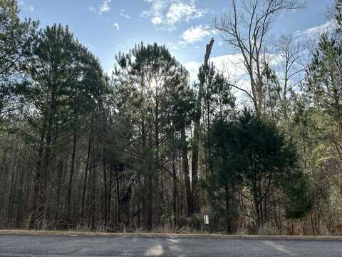 1106 LONGLEAF Way, Lincolnton, GA 30817