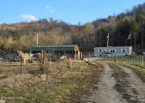 4029 PAW PAW Rd, Thorn Hill, TN 37881