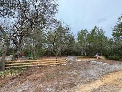 26230 BAY TREE LANE, PAISLEY, FL 32767