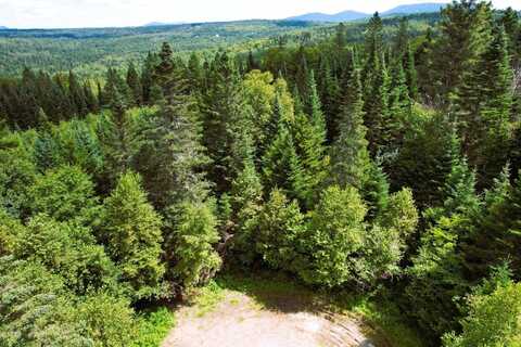 Lot 59 Left Branch of Summit Road, Sandy River Plt, ME 04970