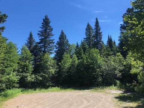 Lot 59 Left Branch of Summit Road, Sandy River Plt, ME 04970