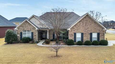 6701 Mceachern Lane SE, Owens Cross Roads, AL 35763