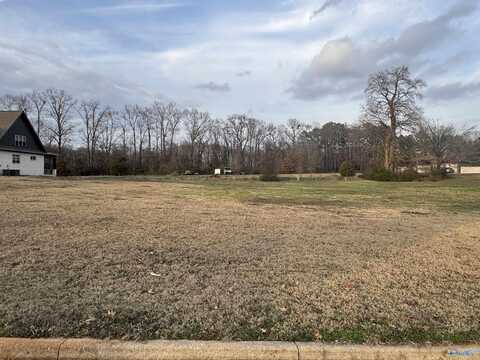 13767 Hatchie Lane, Athens, AL 35611